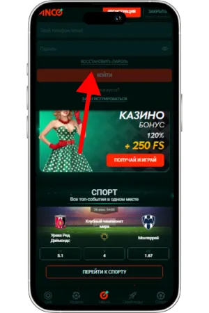 Log in casino Pinco