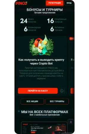 Pinco приложение с бонусом 120 процентов
