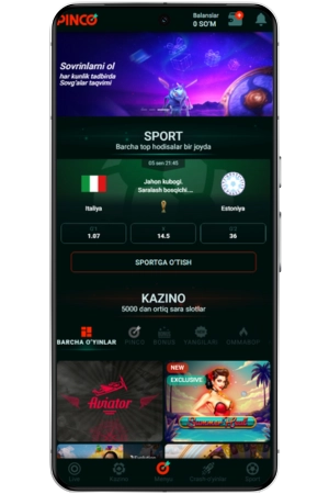 Pinco иловасига кириш