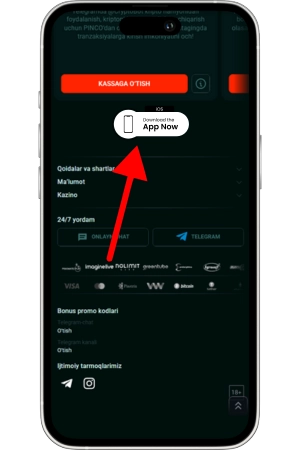 Pinco APK download