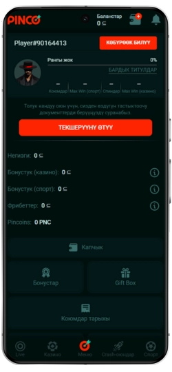 Интерфейс приложения Pinco на Android