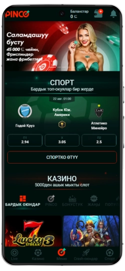 Скриншоты Pinco APK для iOS