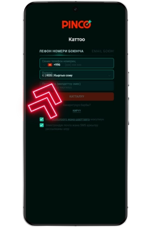 Pinco каттоо
