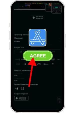 Agree download Pinco App