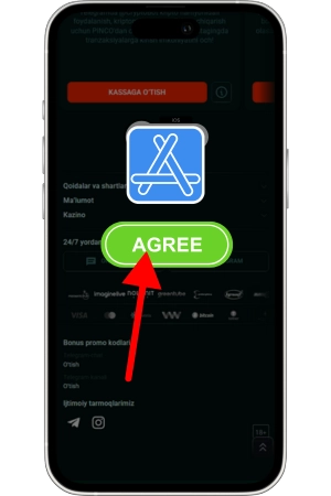 Agree download Pinco App