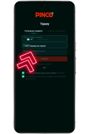 Pinco тіркеу
